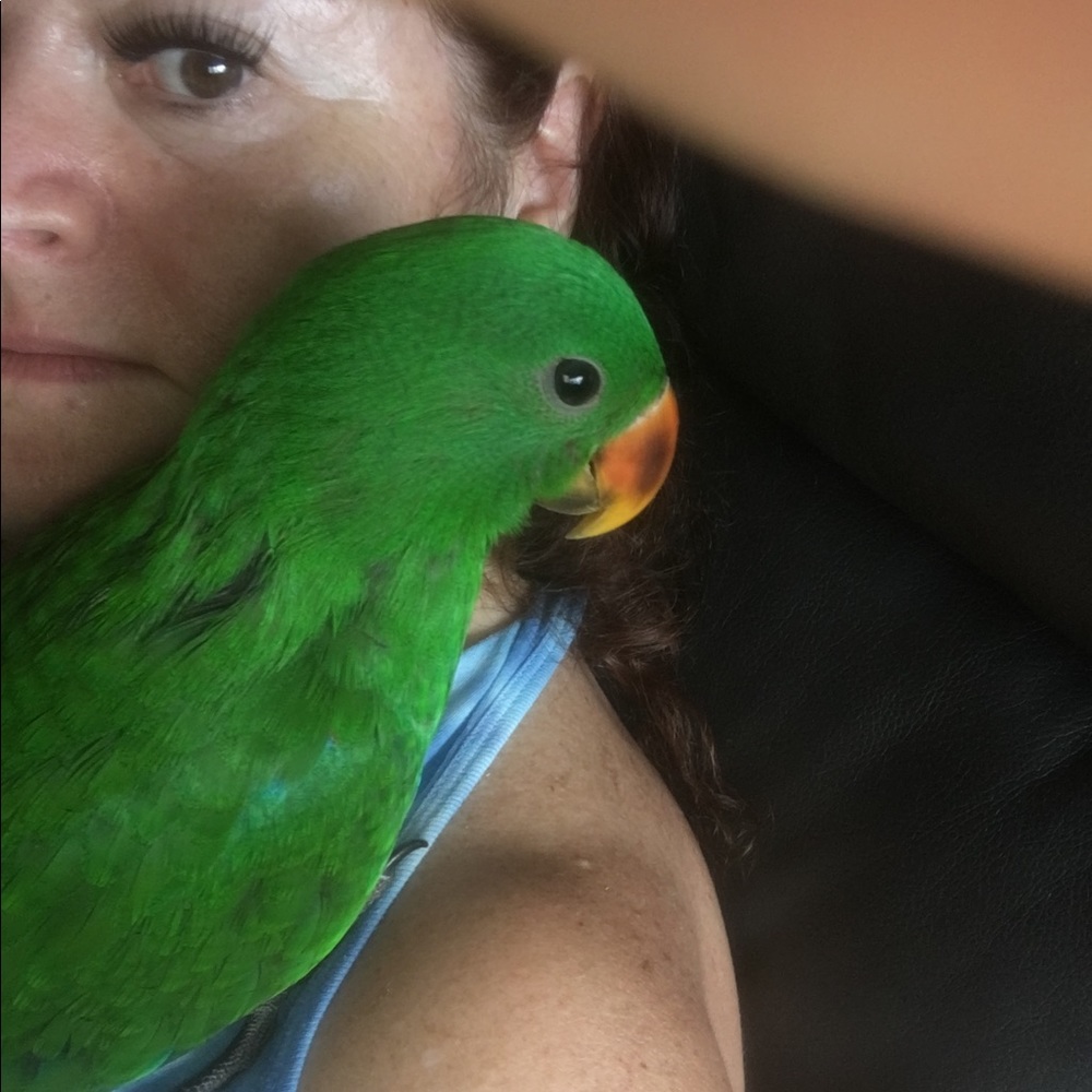 Meet your Posher, Gita